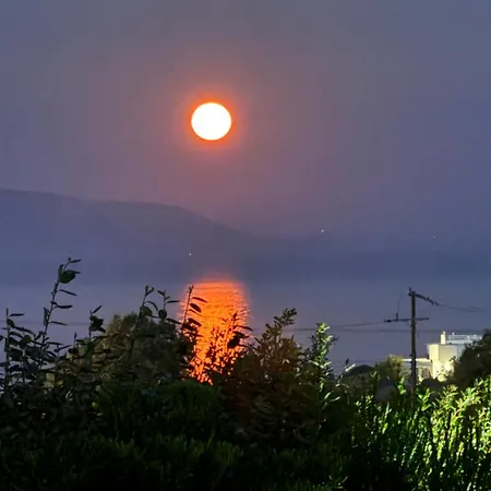 Eliza & Mike's Paros Logaras