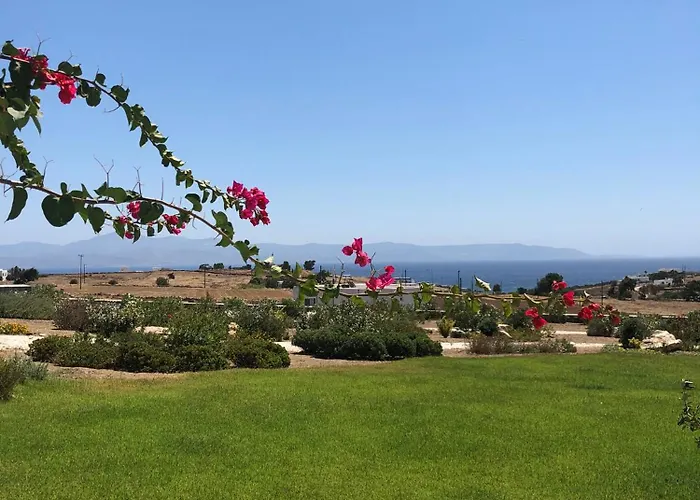 Eliza & Mike's Paros *